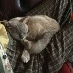 Ian McHugh - @8395ian - Instagram