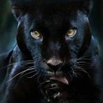 Ian Mcilwraith - Facebook