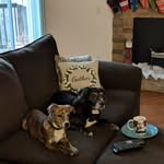 Ian Mckendry - @mckendryian - Instagram