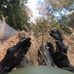 Ian Mclendon - Facebook