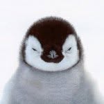 Ian McNicol - @ianmcnicol - Instagram