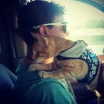 ian mcnulty - @niggywiggywoo - Instagram