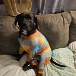 Ian Merrill - @killerspongemonkey - Instagram