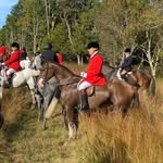 Ian Michaels - @ianequinoxvet - Instagram