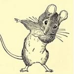 Ian Michaels - @michaels2650 - Instagram
