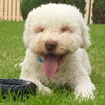 Ian Millhouse - @ian.m43 - Instagram