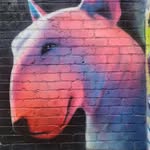 Ian Mintern - @ianmintern46 - Instagram
