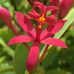 Ian Mobbs - Facebook