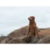 Ian - @ianmoe10 - TikTok