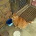 Ian Moeller - Facebook