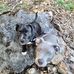 Ian Moeller - Facebook