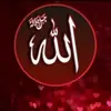 iAnmol - @imran79817 - TikTok