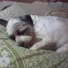 Ian Monteith - @ian.monteith - TikTok
