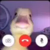 Ian.Mora - @ian.mora_ - TikTok