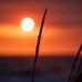 Ian Morin - Facebook