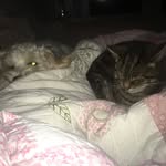 Ian Morley - @storymorley - Instagram
