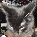 Ian - @ianmountainz - Instagram