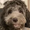 Ian Mounter - @ian.mounter - TikTok