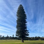 Ian Mountford - @ian.mountford - Instagram