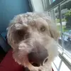 Ian_aronow - @ian_aronow - TikTok