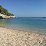 Pina Iannarone - @iannaronepina - Instagram