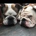 Ian Neale - Facebook