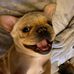 Ian Nemeth - Facebook