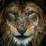 ian Nicholas - @ian.nicholas - Instagram