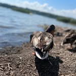 Ian Nickerson - @i_joy_n - Instagram