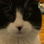 Someone - @ian_nickerson123 - Instagram
