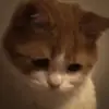 Ian Noah - @ian.noah90 - TikTok