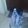 iannor - @iannor8 - TikTok