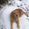 iannowakowski782 - @iannowakowski782 - TikTok