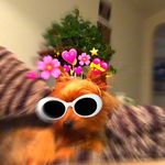 Catherine Nygaard - @nygaardian - Instagram