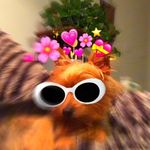 Catherine Nygaard - @nygaardian2203 - Instagram
