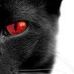 Ian Nyquist - Facebook