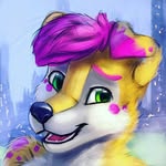 ianolds - @zachthefox6 - Instagram