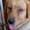 Ian Omar 627667862778267838838 - @ian.omar.62766786 - TikTok