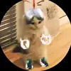 Ian Omar - @ian.omar76 - TikTok