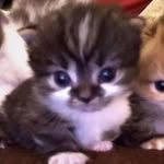 Omar Zambrano - @ian.omar29 - Instagram
