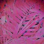 Lys.Or.Galery - @lysiana.orefice - Instagram