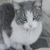 Ian Padilla - @ian.padilla1 - TikTok