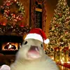 Ian Padilla - @ian.padilla45 - TikTok