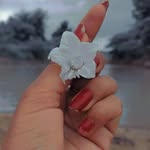 🦋⃟.  Niku🦋⃟‌🖤࿐ - @i_a_n.patel_777 - Instagram
