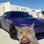 Ian Patrick - @eann.vp - Instagram