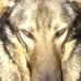 Ian Patton - Facebook
