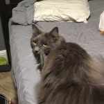 Ian Patton - @ezquickdrop - Instagram