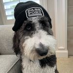 uoʇʇɐԀ uɐI - @_ian_patton_ - Instagram