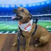 Paytonian 🐶 - @paytonian.delaware.dog - TikTok