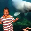 eian - @eianpeacock - TikTok
